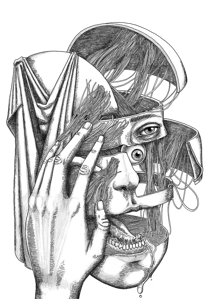 "Obfuscate" Original Drawing