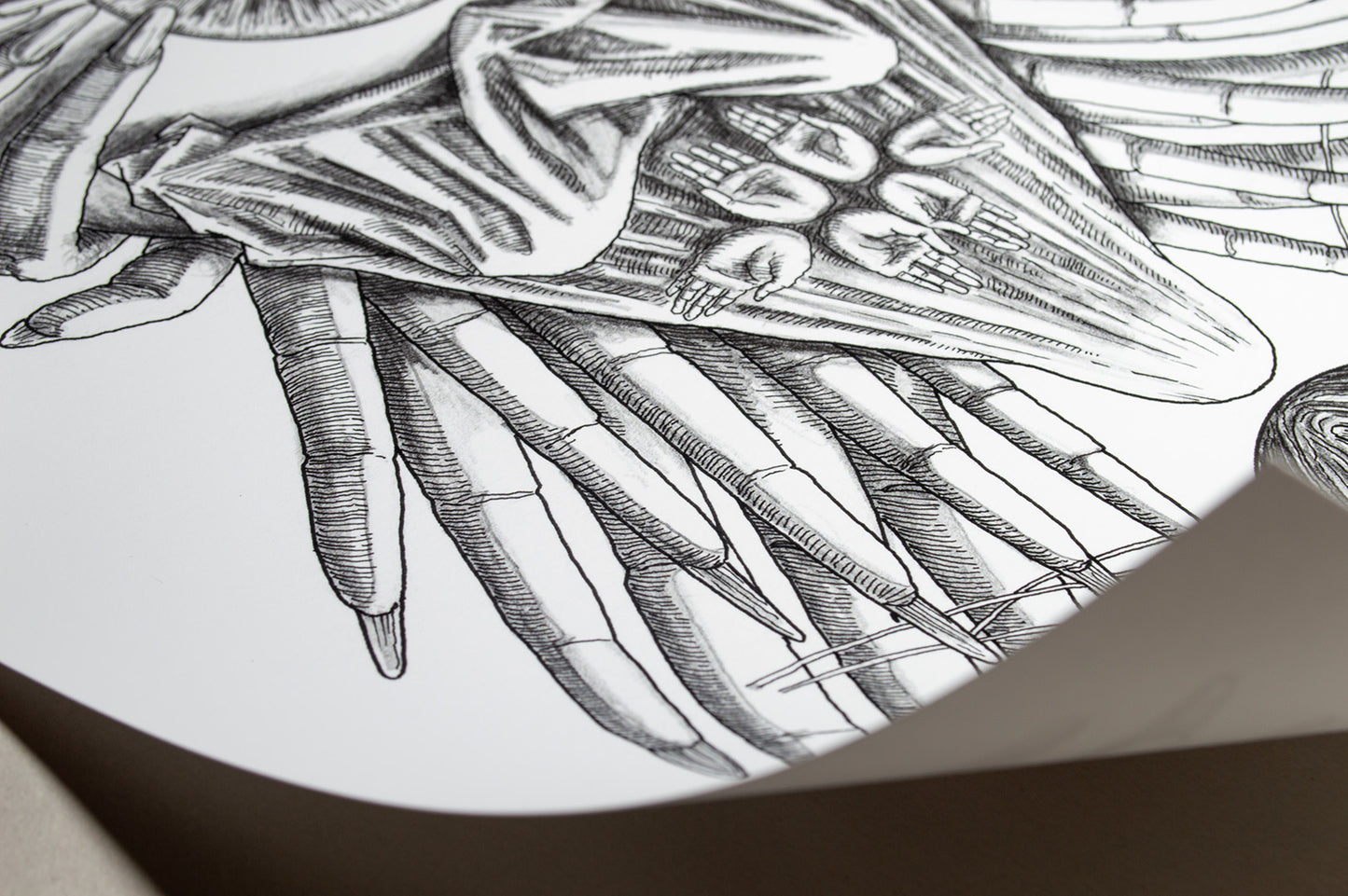 "Projection VII" Open Edition Print